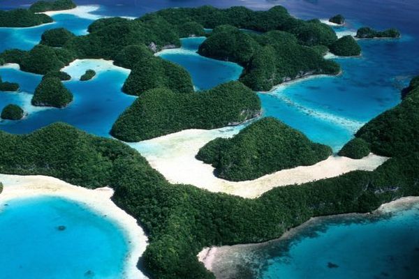Sanctuaires marins : un défi d&rsquo;éthique et de préservation