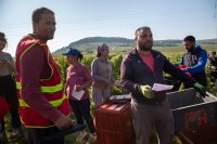 Vendanges de la honte : une condamnation maintenue, deux peines adoucies et une acquittement prononcé